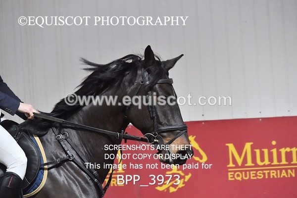 BPP_3973 - CLASS 17  Senior Foxhunter/ 1.20m Open