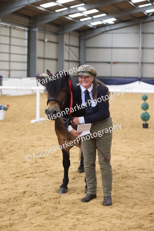 20260913-1766 - Class 117 - Stallion 4years and over