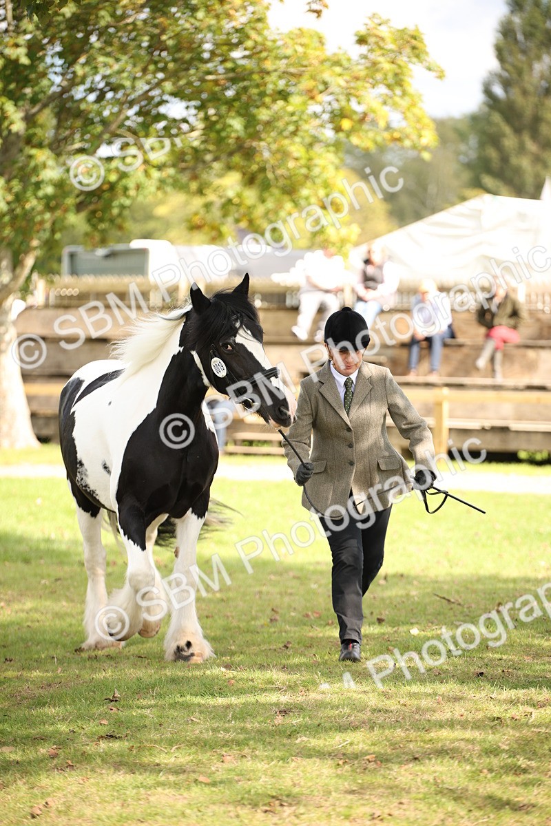 SBM_44487 - S24 - Young Veteran in hand