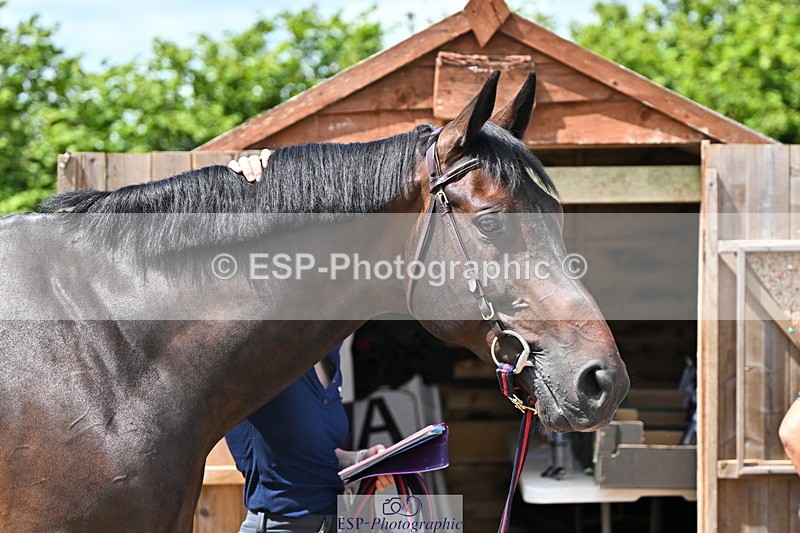 240718A-105257-01364 - Trot Up 12pm to 1pm