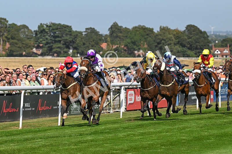 130825-Race 4-Dumfries-8516 - Race 4