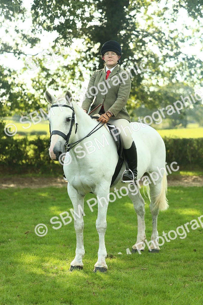SBM_52177 - S33 - Working Hunter & Working Show Horse