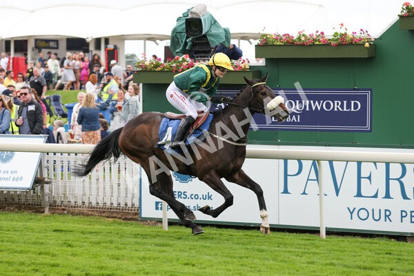 yr11062022r1-155 - Race 1 12.45pm Macmillan Ride of Their Lives, supported by Sky Bet
