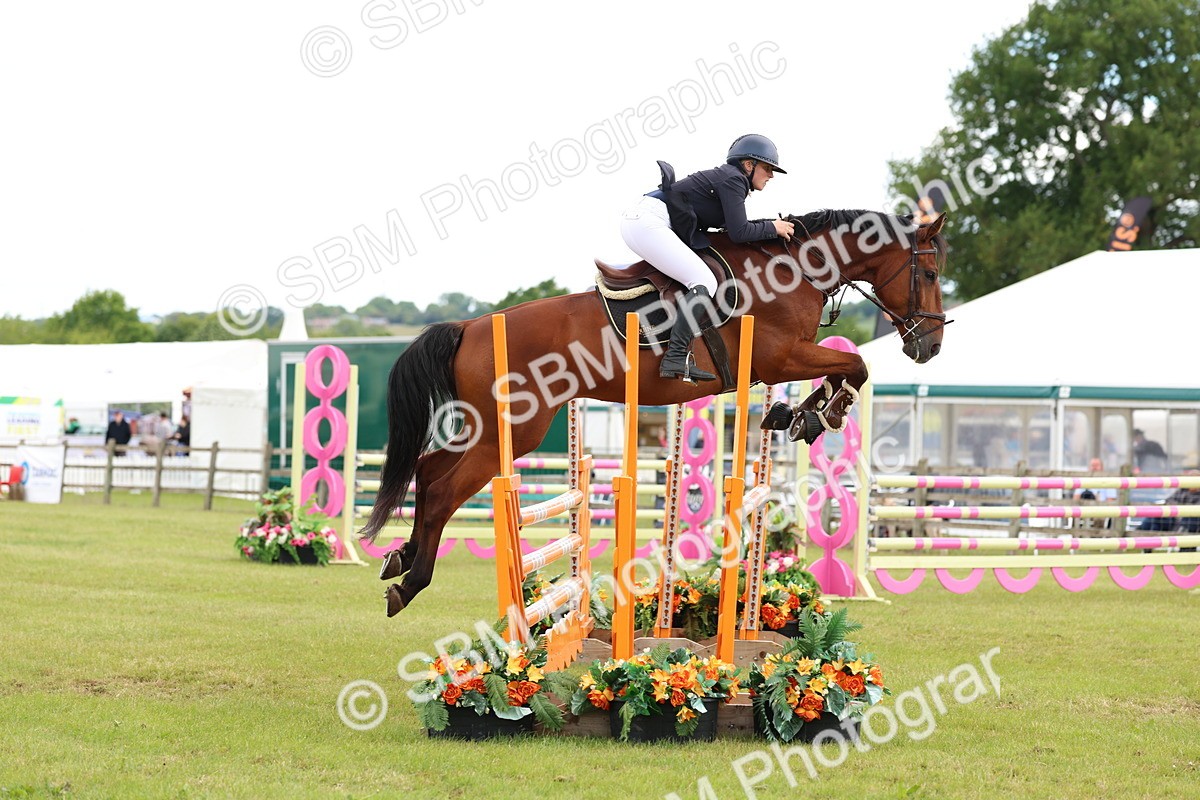 SBM_13761 - Class 206 - Senior Newcomers - 1.10m Open