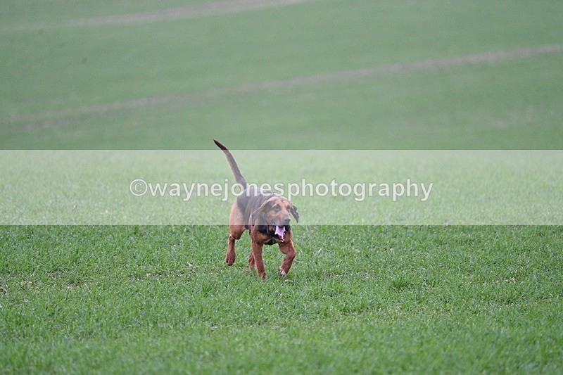 WJ7_0112 - Camera 1 & Last fence
