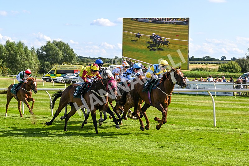 060824-Race 5-Jamih-2947 - Race 5