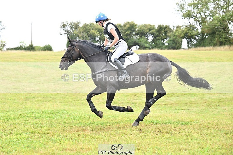 TS_b2192896 - SAT BE 90 Recovered Files fence 8