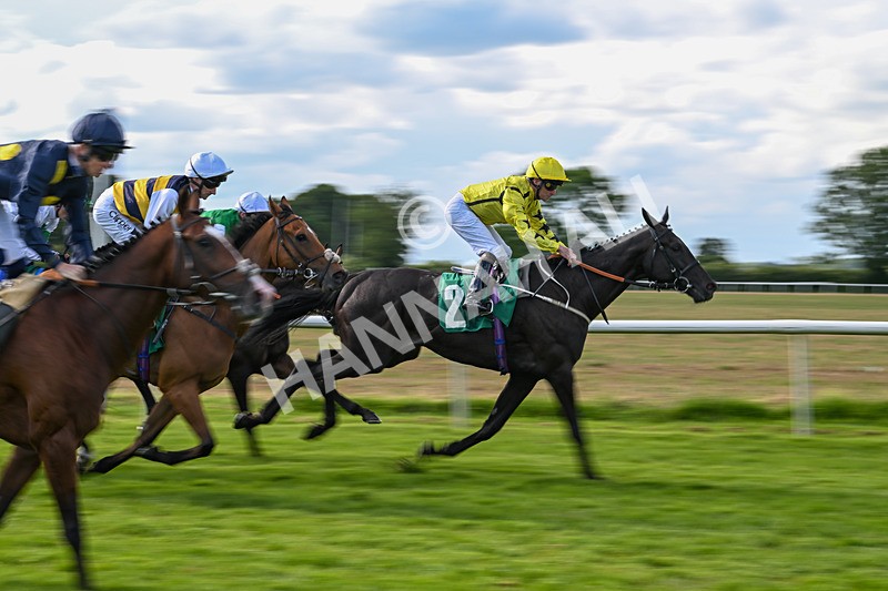 160624-Race 4-Align The Stars-8749 - Race 4