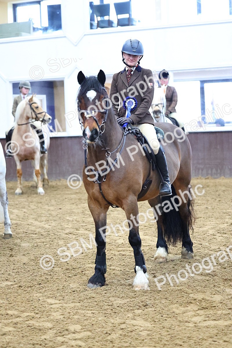 SBM_003689 - Class 37 - 80cm Training Stakes