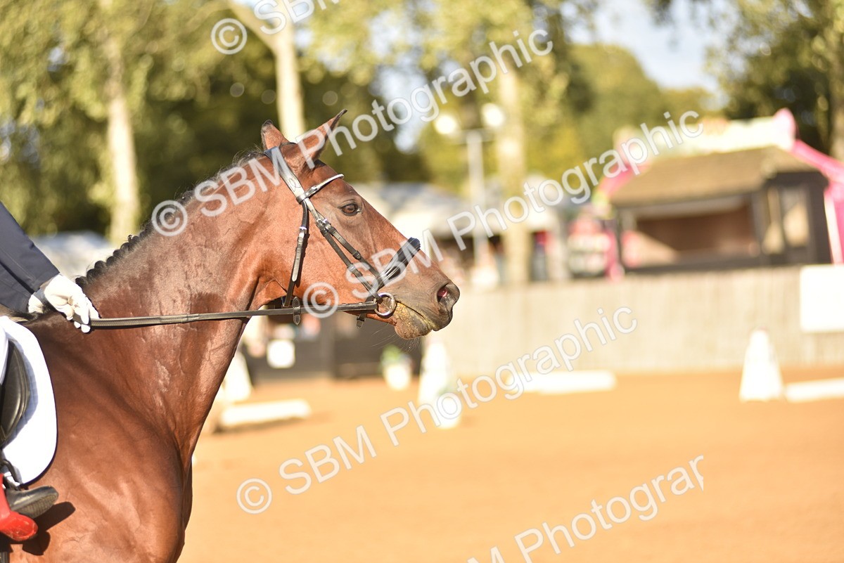 SBM_53373 - D24 - Junior Championship Prelim 3