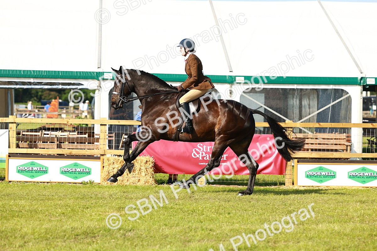 SBM_10921 - Class 66-69 - RIHS Ridden Hunters Inc Small Hunter