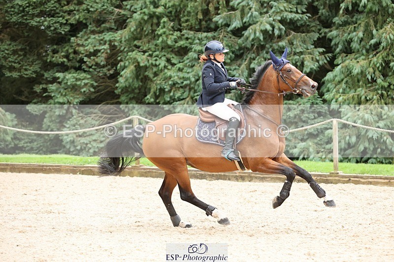 240817-161522-02945 - 06A Snr Fox 1.20m open