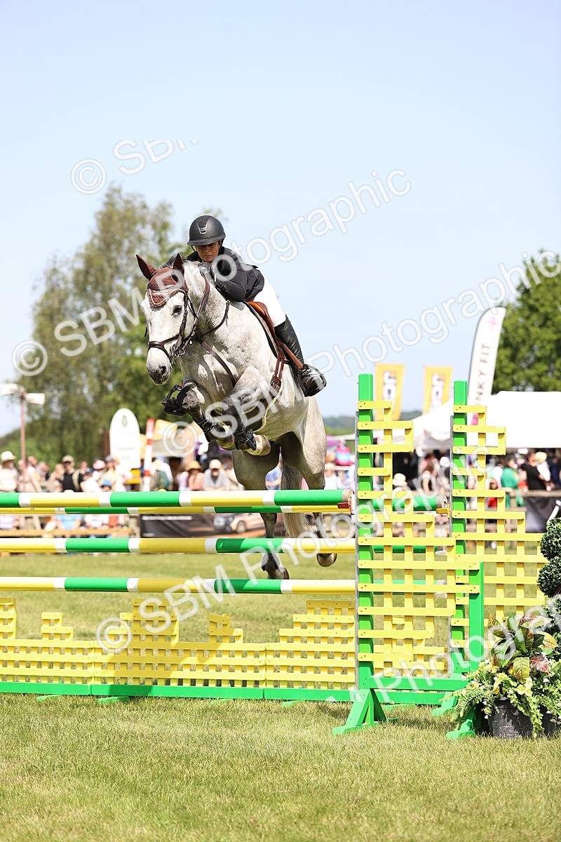 SBM_04000 - Class 201 - British Horse Feedds Speedi Beet HOYS Grade C