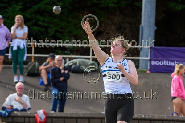 Sen25SUN-929798 - Field Female Set Two