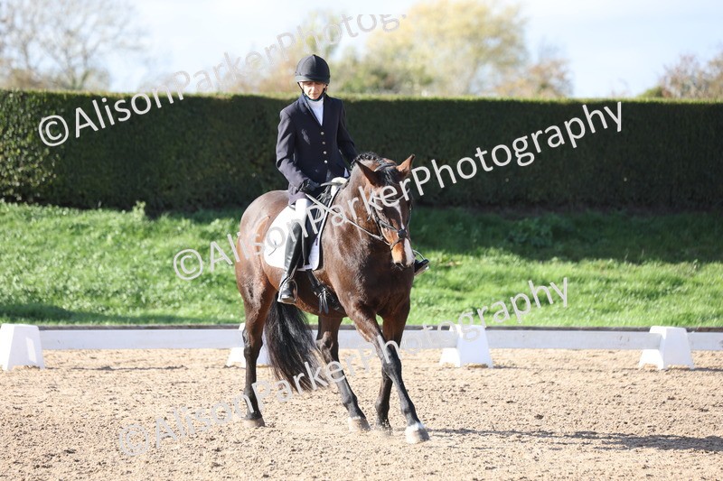 20251101-0618 - Class 5 - Novice 3