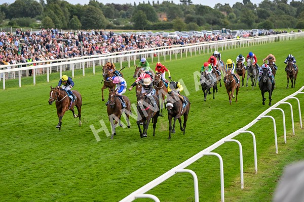220824-Race 7-Alfa Kellenic-8063 - Race 7 5.20pm British EBF Fillies' Handicap