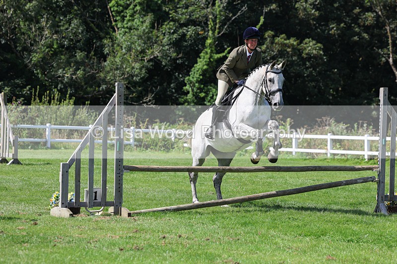 3E7A8569 - Class 5: Working Show Horse