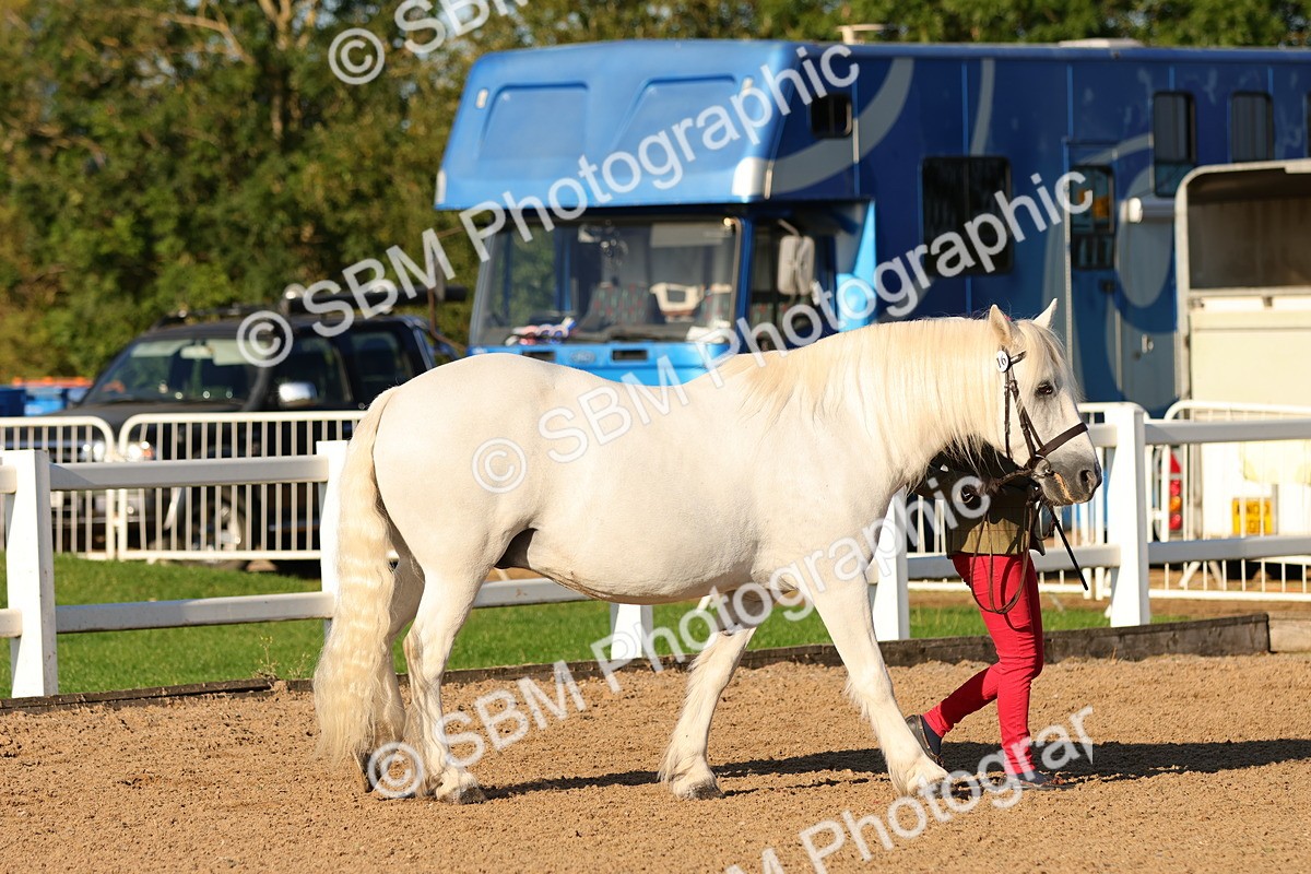 SBM_08003 - Class 201 - Best Turned Out - IH