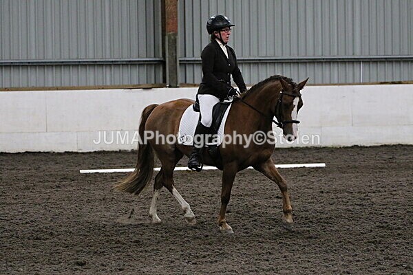 SIAL4299 - CAbin Dressage 5th july 2025