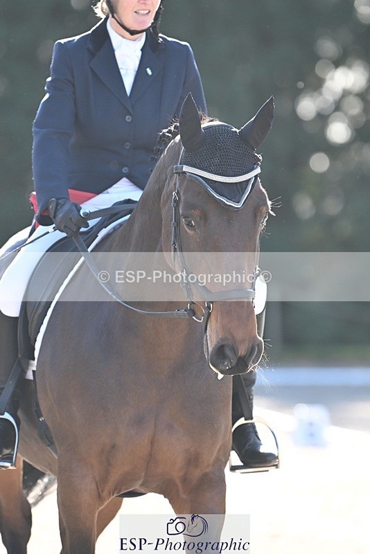 231110-122541-00685 - Cls 3 Novice 22