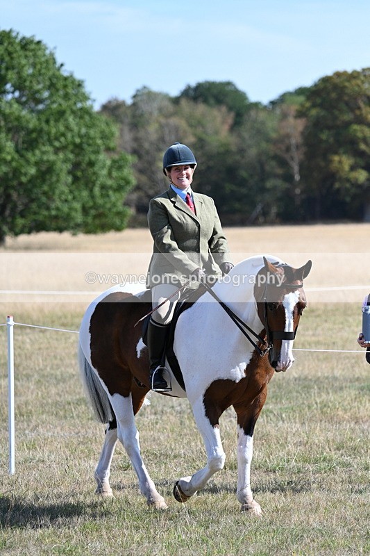 WJ7_3073 - Class 8 Ridden Tack & Turnout
