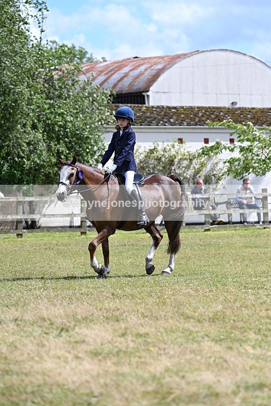 WJ7_0066 - Class 8 Ridden Veterans