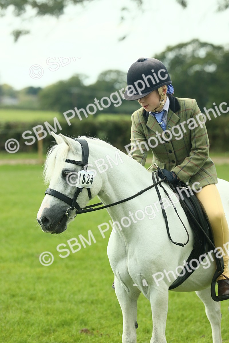 SBM_66468 - S34 - Rehabilitated Rescue Horse & Pony In Hand & Ridden