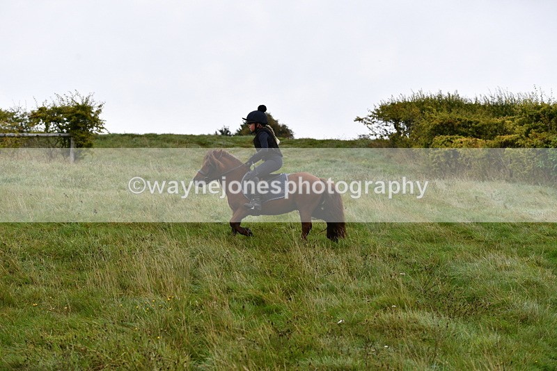 WJ5_5607 - Time 10:05 to 10:30  (3 cameras)