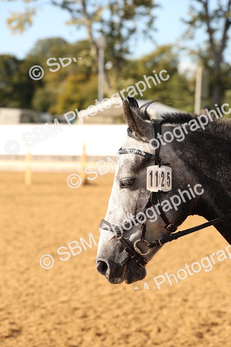 SBM_11603 - D9 - Small Tour Championship Prelim 3