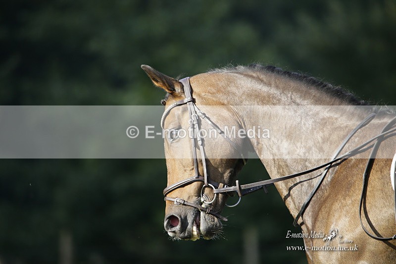 BVRC 120921 113 - Bourne Valley Riding Club UA Dressage & Show Jumping 12/09/21