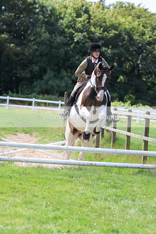 3E7A8610 - Class 5: Working Show Horse