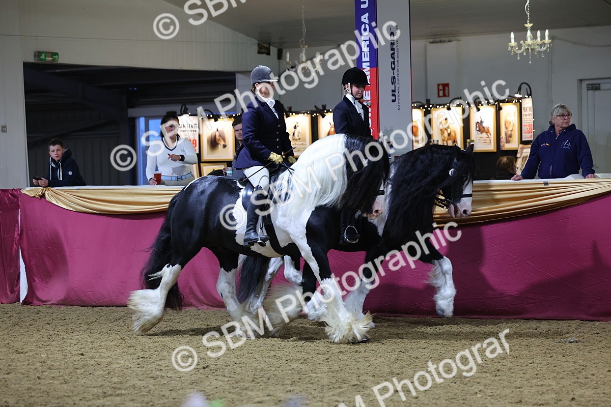 0B8A4348 - Class M Ridden Pairs Champ