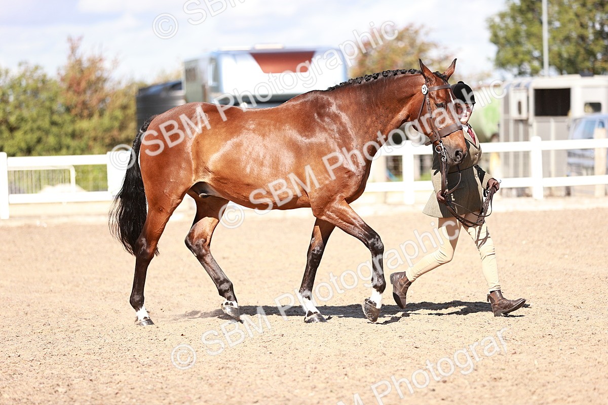 SBM_13297 - class 406 - IH Hunter