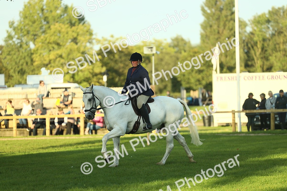 SBM_55538 - S14 - Riding Club Horse
