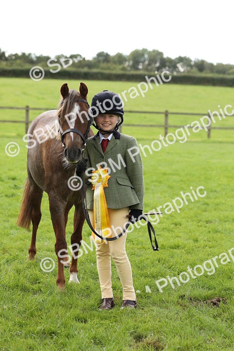 SBM_62870 - S46 - Mountain & Moorland In Hand Small Breeds