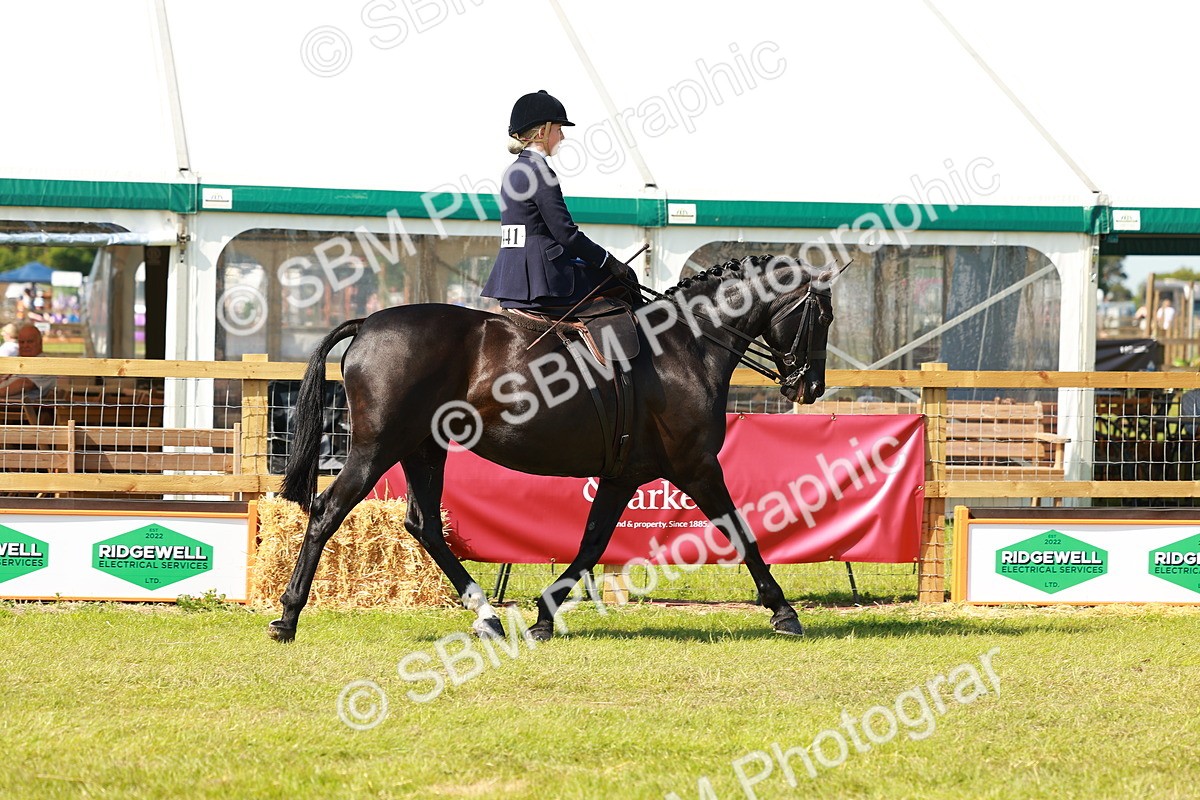 SBM_13122 - Class 70-71 - Side Saddle
