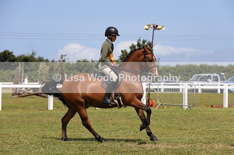 1X9A4128 - Class 32: Show Hunter Pony 153cm and under