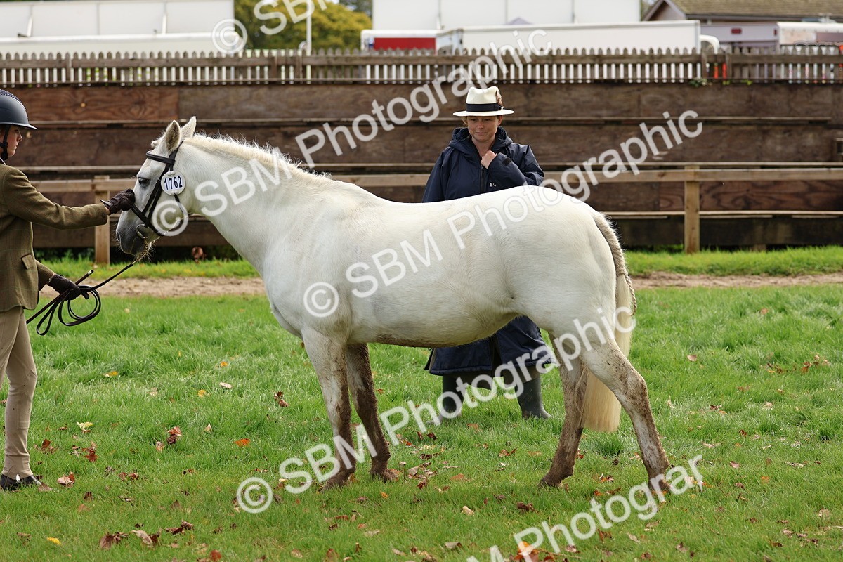SBM_40746 - S25 -  Veteran In Hand