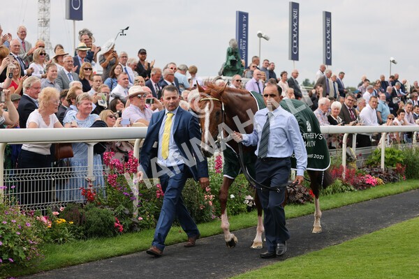 yr20082021r2-106 - Race 2 2.25pm Weatherbys Hamilton Lonsdale Cup (British Champion Series race)