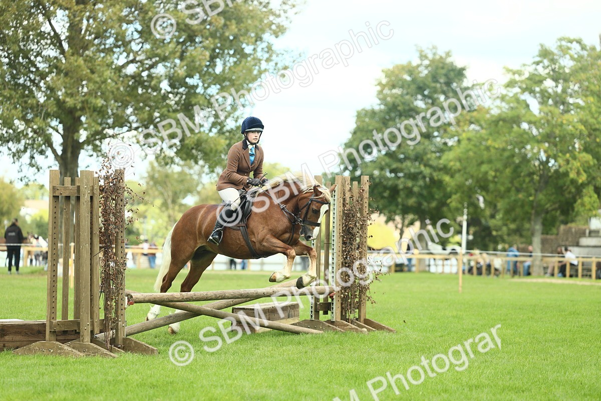 SBM_42817 - S30 - M&M Working hunter Pony