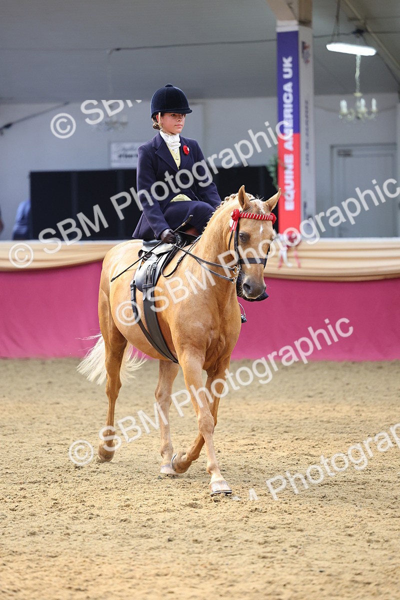 SBM_24463 - Class 906 - Supreme Final - Ridden Pre Vet