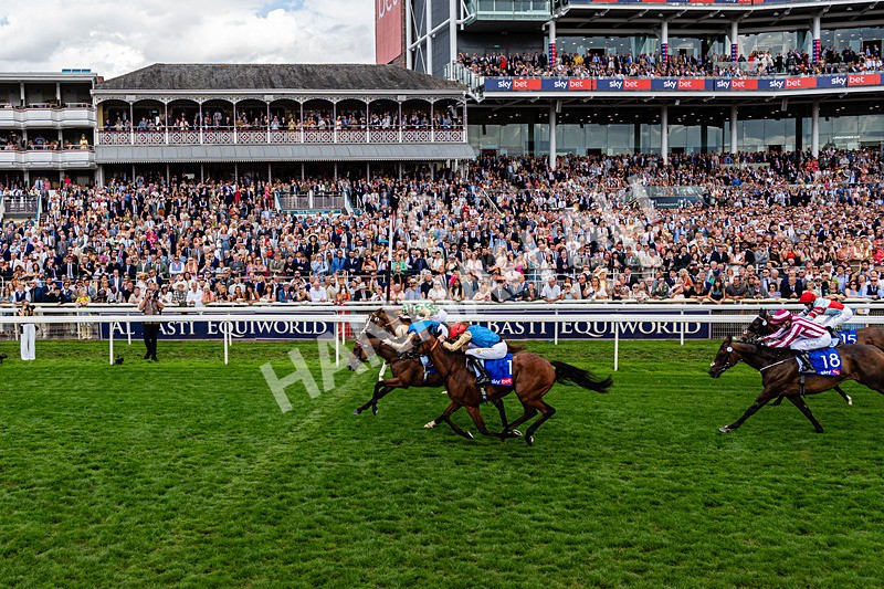 220826-Race 4-Daiquiri Bay-0472 - Race 4 15.35pm Sky Bet Ebor Handicap
