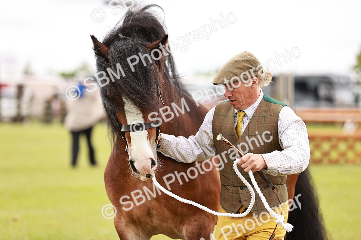 SBM_06049 - Class 39-41 TGCA In Hand and Ridden