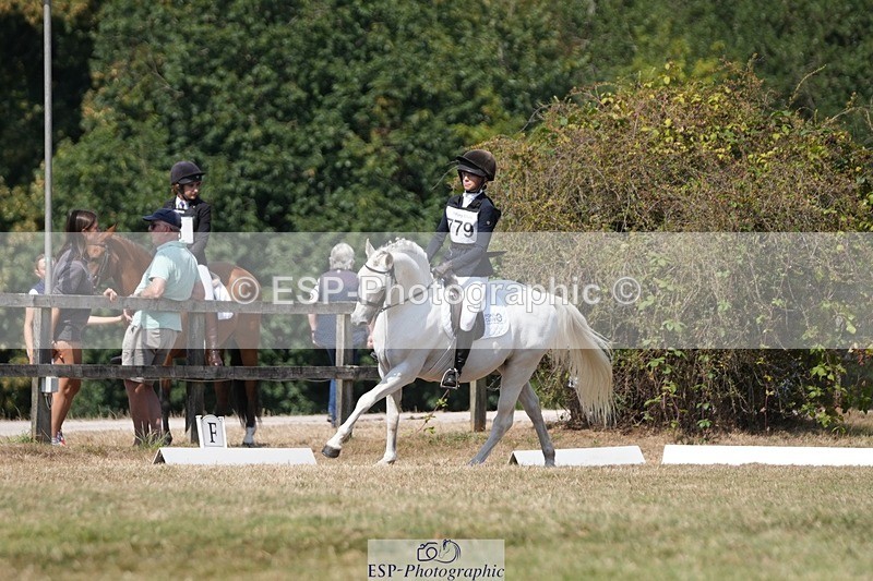 250823A-132745-31177 - Arena A