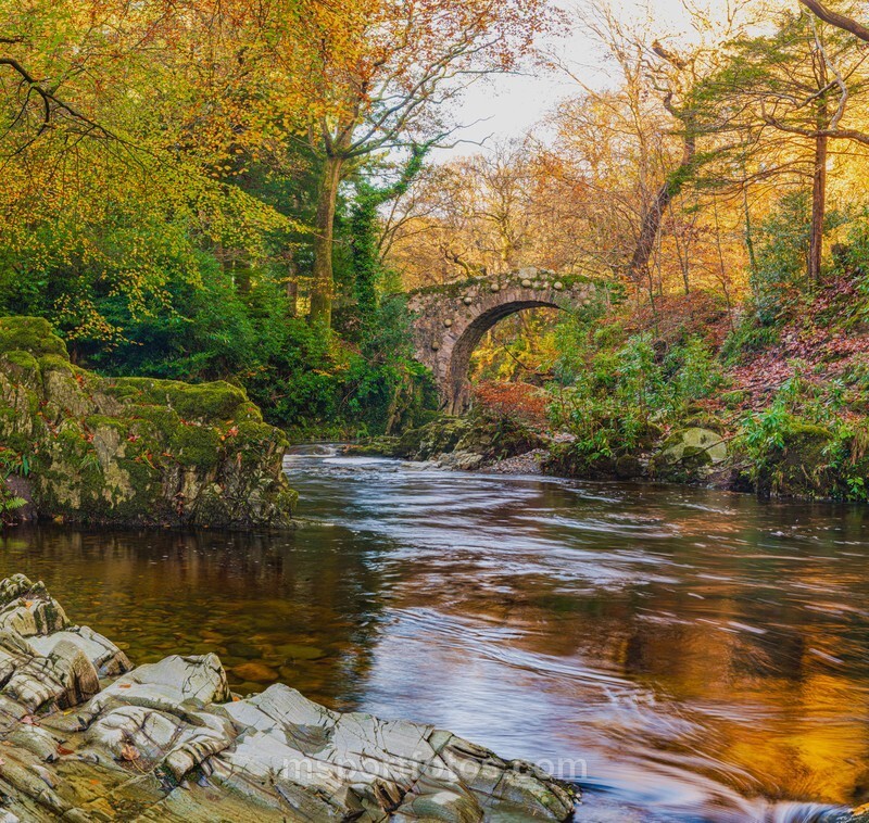 Foleys Bridge in Tollymore Forest Park - Irelands landscapes