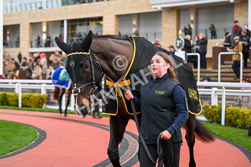 141224-Race 7-Sweet Fantasy-0883 - Race 7