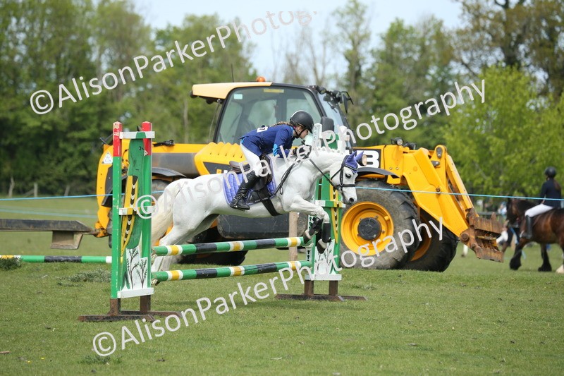 20260426-2013 - Class 15 - Absolute Novice 70cm