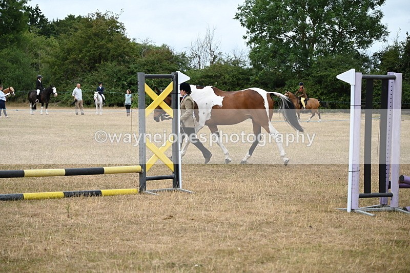 WJ6_8169 - Class 10 Coloured in Hand