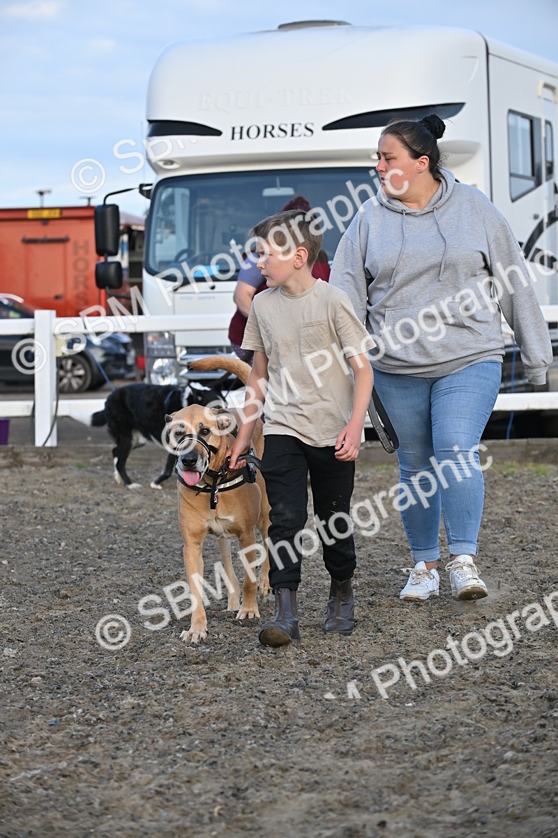 SBM_09472 - Lorry Dogs