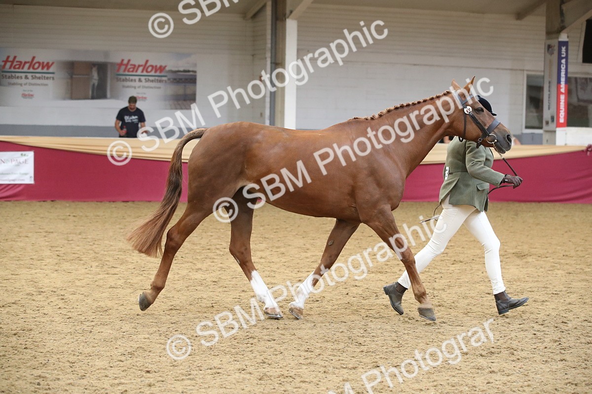 SBM_05712 - Class 9R - Regional IH Pre-Vet